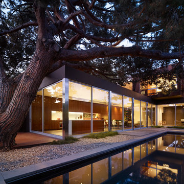 Walnut Residence