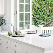 Prep kitchen windows