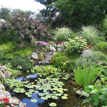Masicki Backyard Pond - Westport
