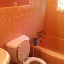 Bathroom Project