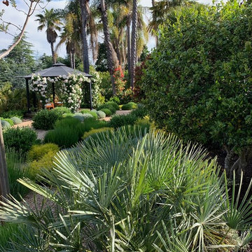 Mediterranean garden in Los Alto Hills