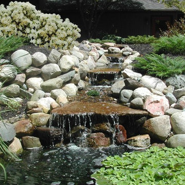 Homes Enhanced with Landscaping