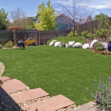 Dog Friendly Artificial Grass Lawn in Highlands Ranch
