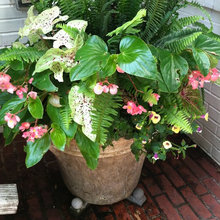 container gardening