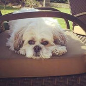 Yoshi Spencer's photo