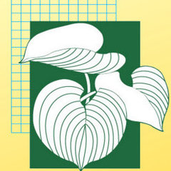 Landscape Images Ltd