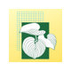 Landscape Images Ltd Landscape Images Ltd