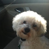 Brenda Starr McCarville's photo