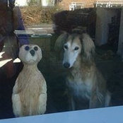 Frances Gowing's photo