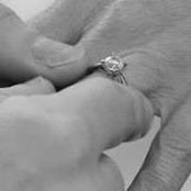 Melanie Bruno's photo