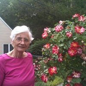 Vincent Suozzi's photo