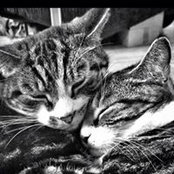 Sarah Hall's photo