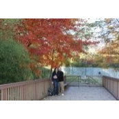 Nadja Chong's photo