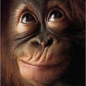 Tonya Mckinney's photo