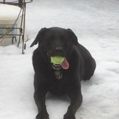 Molly Donahue's photo