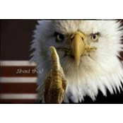 Gene Campbell's photo