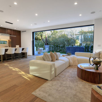 Modern Home | Mar Vista