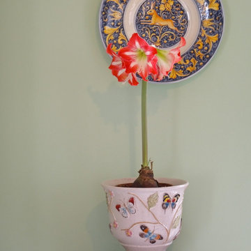 Bonechi Imports Italian Ceramics