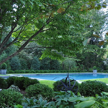 pool landscape