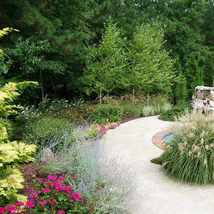 Conifer Garden | Houzz