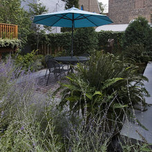 peterandros1's outdoor