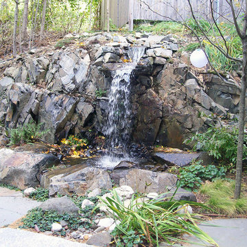 Senior Gardens