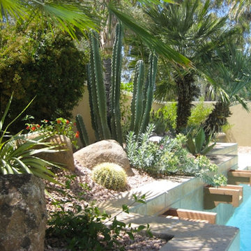 T& D Gardening Inc. Portfolio