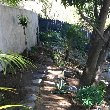 Eclectic, Contemporary Canyon Garden with Low Water Succulents
