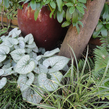Secret Urban Garden