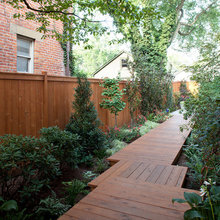 Side Yard