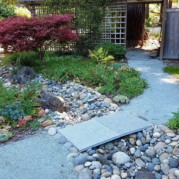 Aptos Shade Garden