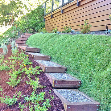 Unique Sod Installation