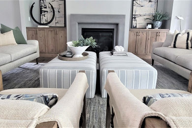 Transitional living room photo in Cedar Rapids