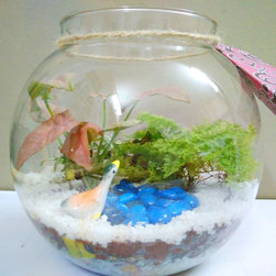 Petite Gardens: Swan lake - Products