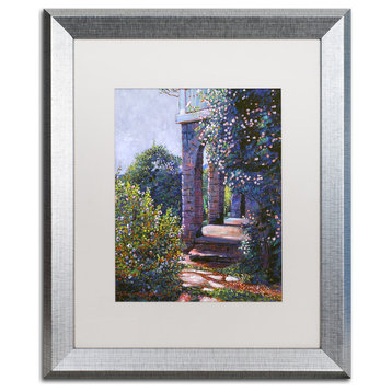 David Lloyd Glover 'Climbing Roses' Art, Silver Frame, 16"x20", White Matte