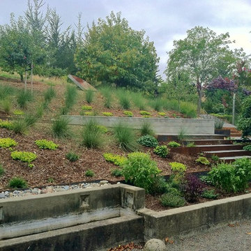 modern meadow