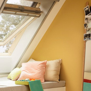 Roof Windows
