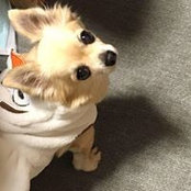 Foto von Siduko Kunimoto