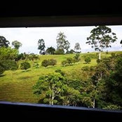 Maria Arias's photo