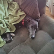 Jason Manly's photo