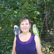 Wendy Kulak's photo