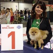 Foto di Luisella Rossitto