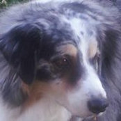 Ellen Galicia's photo
