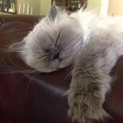 Marty Spear's photo
