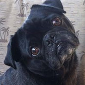 Doreen Warholic's photo