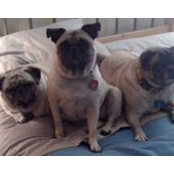 Steven Wollman's photo