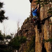 Will Gregorash's photo