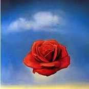 Rosie Chavez's photo