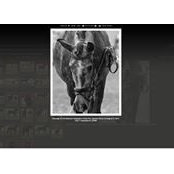 Toni Bealessio's photo