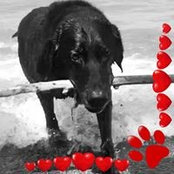 Sheri Reeve's photo